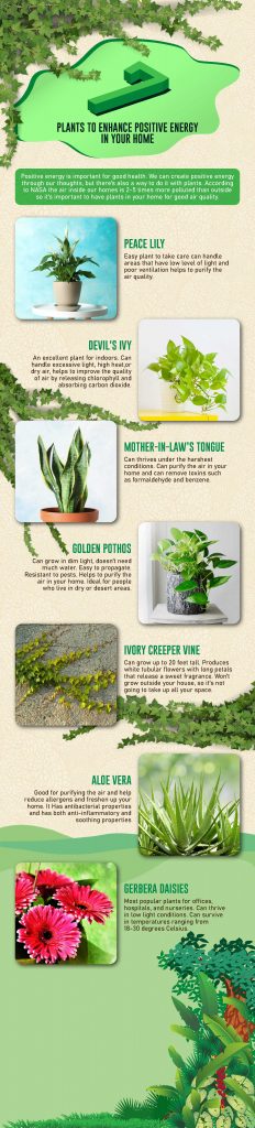 7 Positive Plants Blog