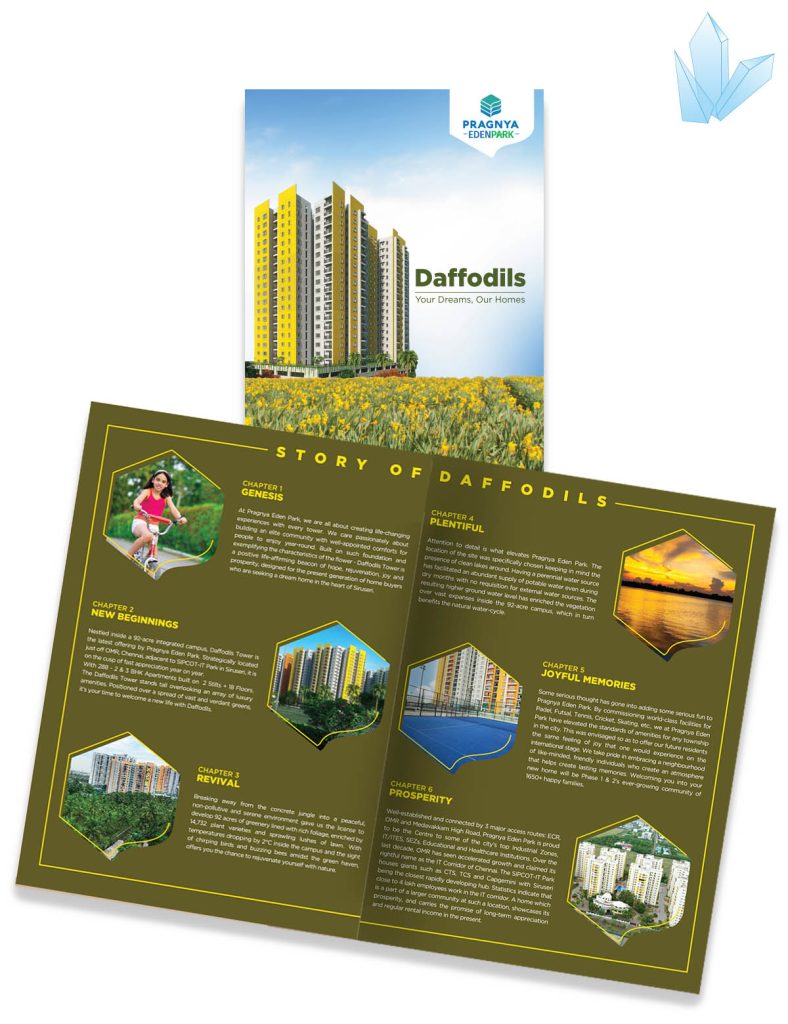 Dafodil Brochure